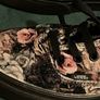 Brand New Floral Velvet Vans Size 5 Image 2