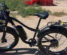 1000 w electric mountain bike
