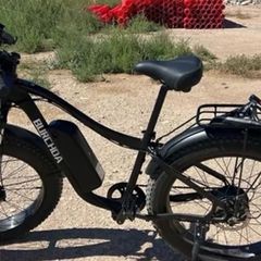 1000 w electric mountain bike