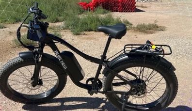 1000 w electric mountain bike
