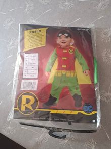 Halloween costume..Robin..