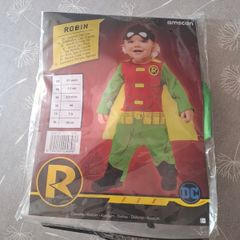 Halloween costume..Robin..