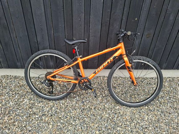 Giant ARX 24 inch kids bike