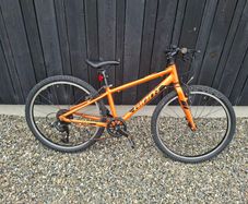 Giant ARX 24 inch kids bike
