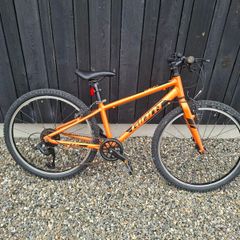 Giant ARX 24 inch kids bike