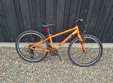 Giant ARX 24 inch kids bike