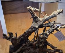 bog oak lamp