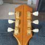 epiphone ej200 inspired by gibson Image 5