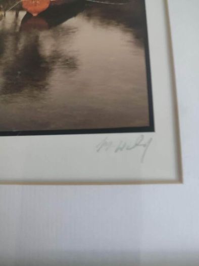 Framed Photo Print Of Doo Laugh Ca Mayo Ireland By M. Wiley