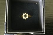 9ct Gold Ring with fabulous gem setting