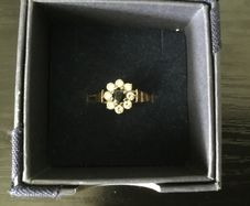 9ct Gold Ring with fabulous gem setting