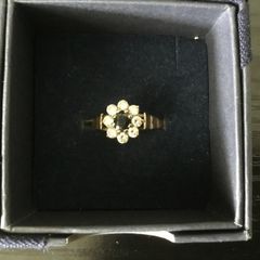 9ct Gold Ring with fabulous gem setting