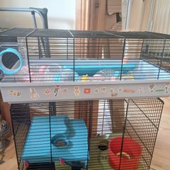 Hamster