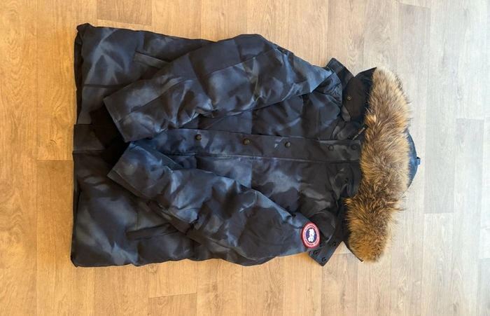 canada goose
