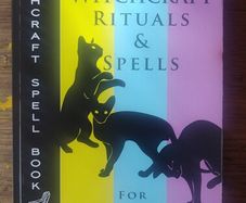 The Complete Guide of Witchcraft, Rituals & Spells for Beginners - G. Alan Joel