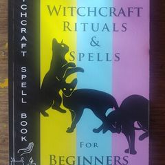 The Complete Guide of Witchcraft, Rituals & Spells for Beginners - G. Alan Joel
