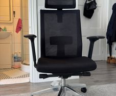 Ergonomic Office Chair