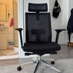 Ergonomic Office Chair