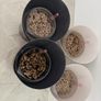 Lechuza Orchidea Self-Watering Pots x4 Slate Grey x2 & White Matte x2 Image 5