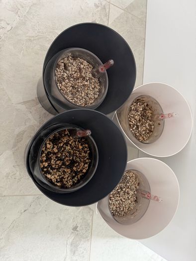 Lechuza Orchidea Self-Watering Pots x4 Slate Grey x2 & White Matte x2