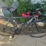 Cayo Focus Image 4