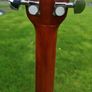 Tanglewood discovery Image 3