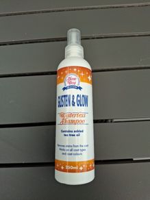 dog grooming