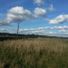 beacon887