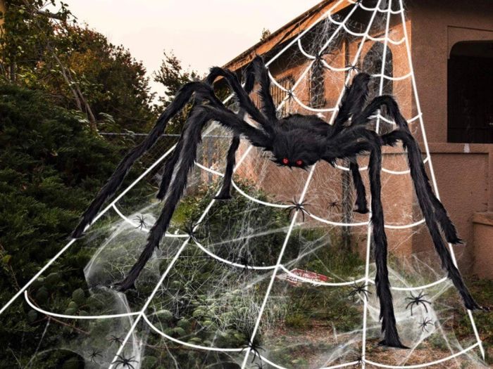 Giant Spider 6.6ft - 200cm, Spider Web 23ft - 700cm, 30pcs Plastic Spiders, 40g Cobweb - Halloween Decorations Triangular Cobweb for Indoor Outdoor Home Yard