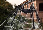 Giant Spider 6.6ft - 200cm, Spider Web 23ft - 700cm, 30pcs Plastic Spiders, 40g Cobweb - Halloween Decorations Triangular Cobweb for Indoor Outdoor Home Yard