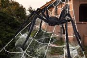 Giant Spider 6.6ft - 200cm, Spider Web 23ft - 700cm, 30pcs Plastic Spiders, 40g Cobweb - Halloween Decorations Triangular Cobweb for Indoor Outdoor Home Yard