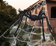 Giant Spider 6.6ft - 200cm, Spider Web 23ft - 700cm, 30pcs Plastic Spiders, 40g Cobweb - Halloween Decorations Triangular Cobweb for Indoor Outdoor Home Yard