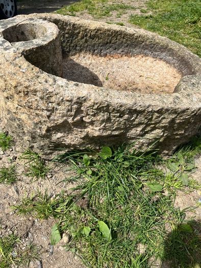 bird bath