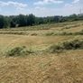 Silage bales Image 4