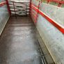 16ft cattle trailer Image 3