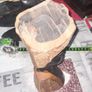 Antique Wood Carved African Woman postage available or collection on all my items Image 7