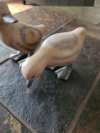 Ducks
