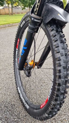 Gian Reign Advanced Pro 2