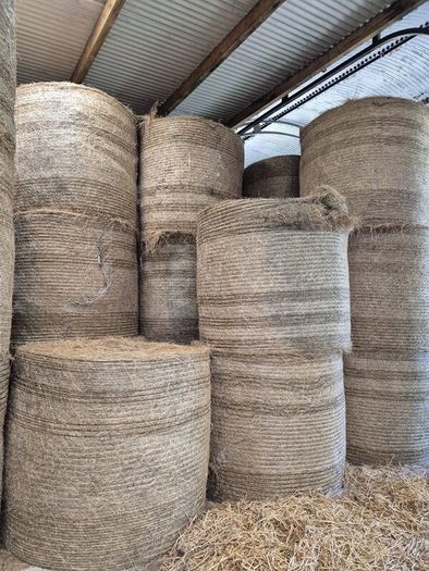 2025 Hay for sale. Horse Hay.