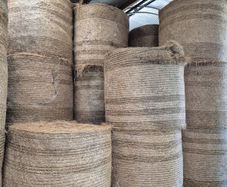 2025 Hay for sale. Horses/ Cattle/ Sheep.