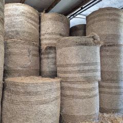 2025 Hay for sale. Horses/ Cattle/ Sheep.