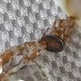 Toto sterling silver crystal matching set Image 6