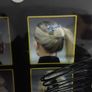 Hair Decoration New Image 2