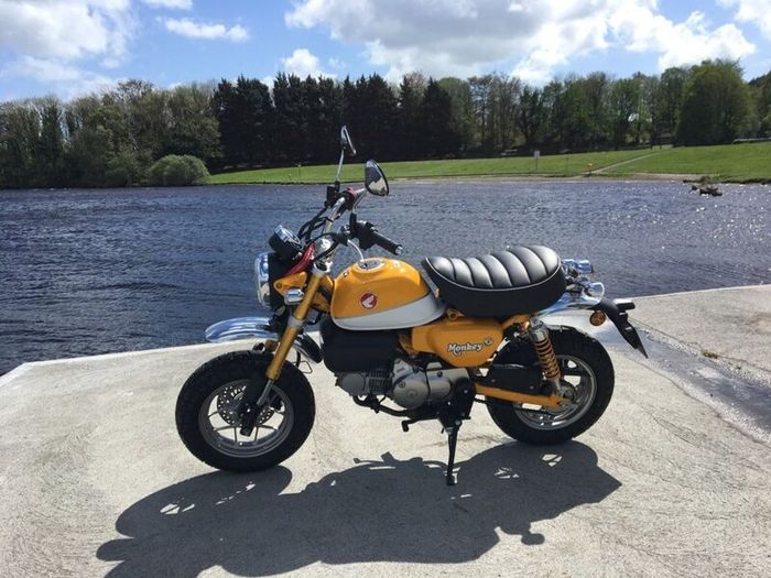 Honda Monkey 125 - Banana Yellow
