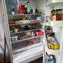 Fisher & Paykel fridge Image 2