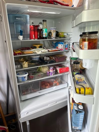 Fisher & Paykel fridge