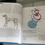 Veterinary Medicine books Image 2