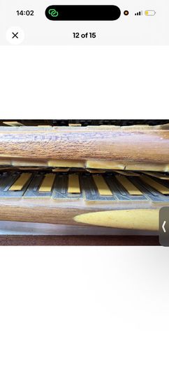 ramjes by dallape accordion button