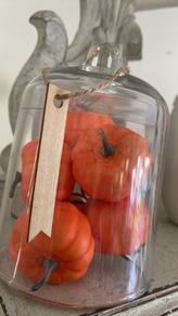 ShabbyChic Glass Dome with Pumpkins