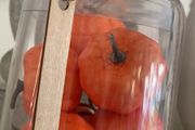 ShabbyChic Glass Dome with Pumpkins